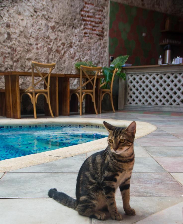 Casa Zahri Boutique Hostel Cartagena Eksteriør billede
